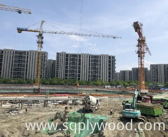 Shuttering/Marine Plywood, Construction Waterproof Film Faced Plywood for Building